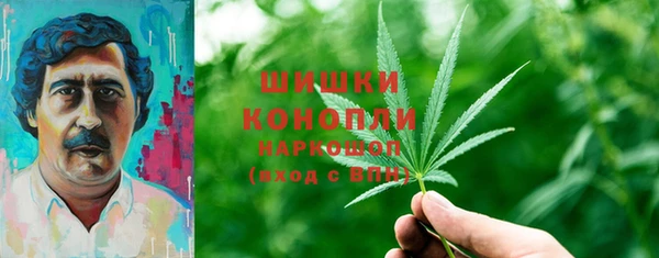 Альфа ПВП Дмитровск