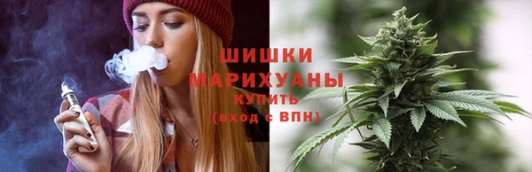 стаф Дмитриев