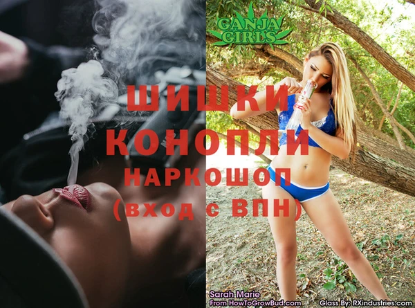 Альфа ПВП Дмитровск