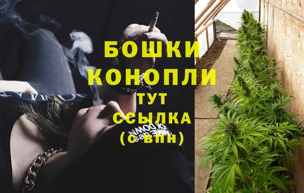 стаф Дмитриев