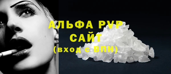 стаф Дмитриев