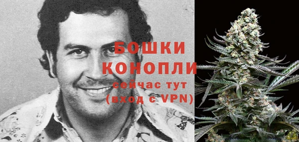 стаф Дмитриев