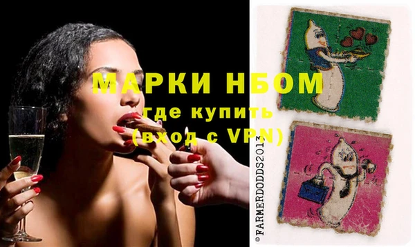 стаф Дмитриев