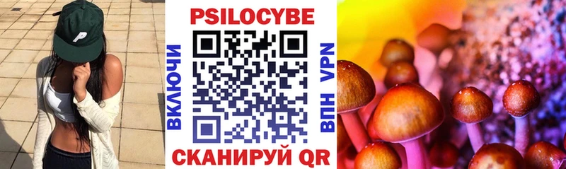 Галлюциногенные грибы прущие грибы  Тайга 
